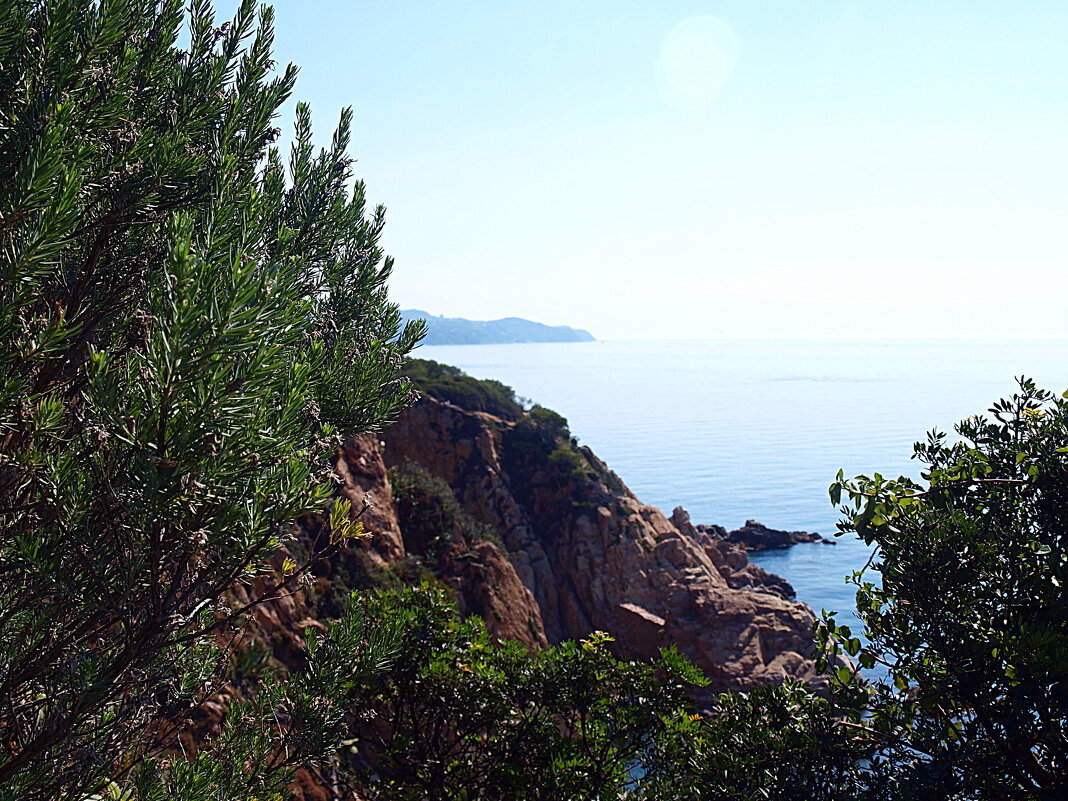 Барселона. - Владимир Драгунский Барселона. - Владимир Драгунский