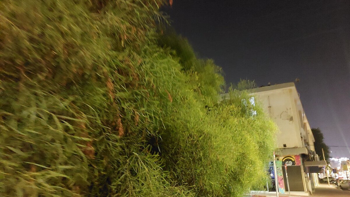 13  ОПЕН (136) - OPEN WAYS ALL