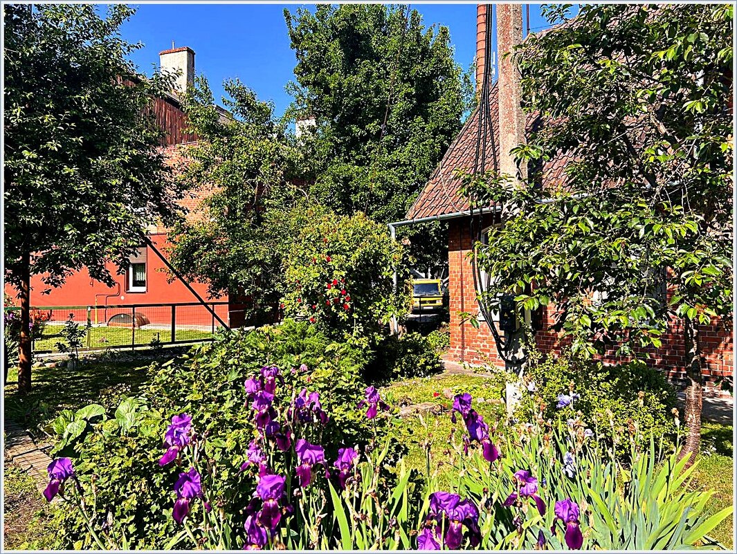 Палисаднички Гвардейска. - Валерия Комова Палисаднички Гвардейска. - Валерия Комова