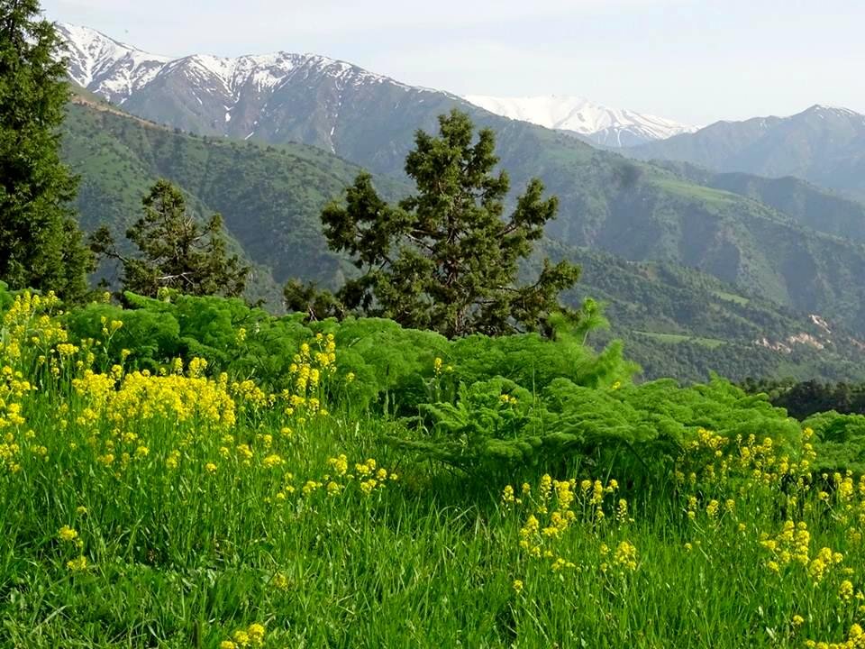 ПО ГОРАМ. - Виктор Осипчук ПО ГОРАМ. - Виктор Осипчук