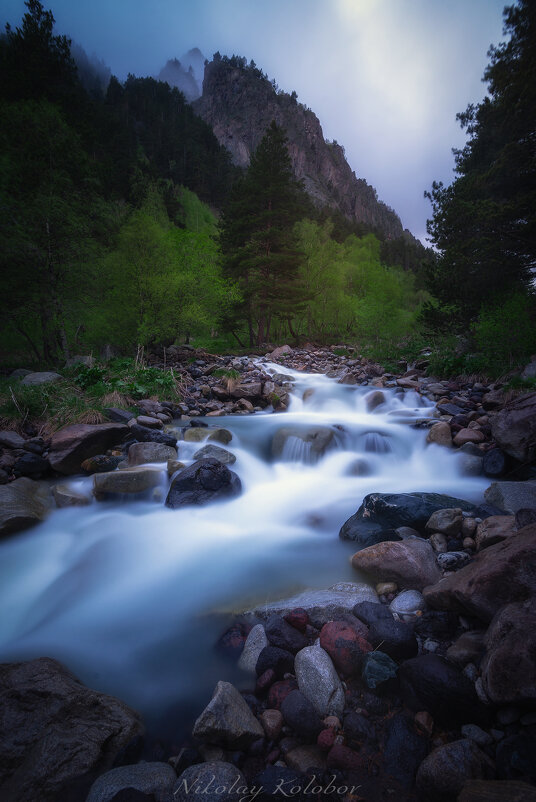 *** - Николай Колобов