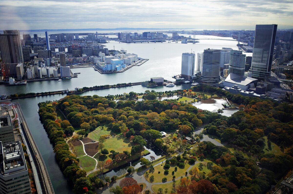 Токио через окно - Civetta ***