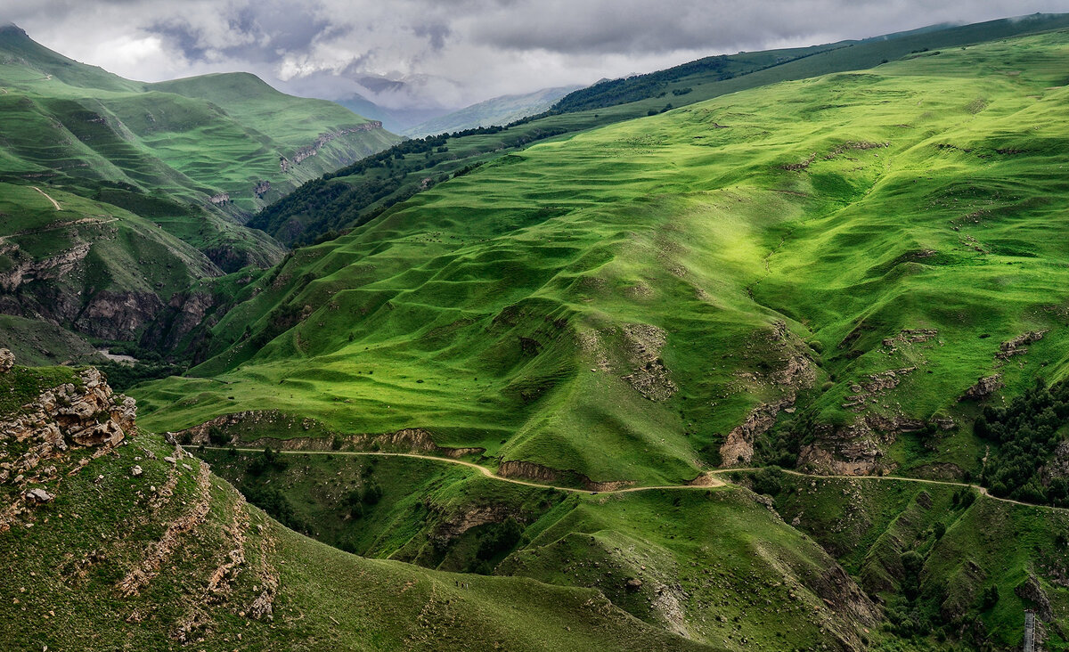 *** - Геннадий Чеботарев