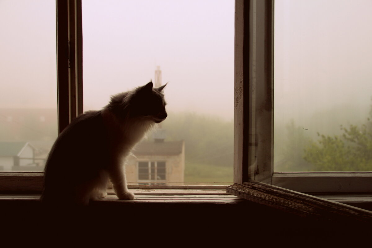 Утро - Елена Минина