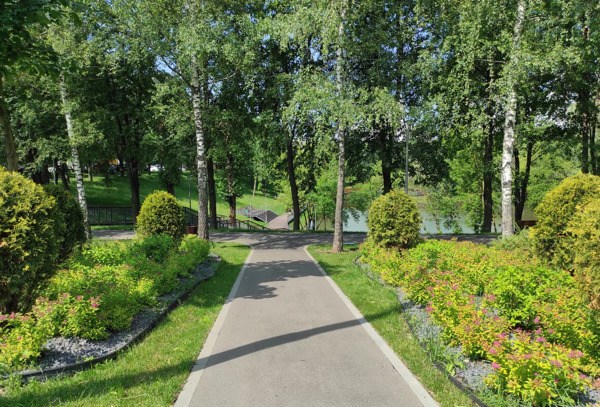 Спуск к Чертановскому пруду - Игорь Ч. Спуск к Чертановскому пруду - Игорь Ч.