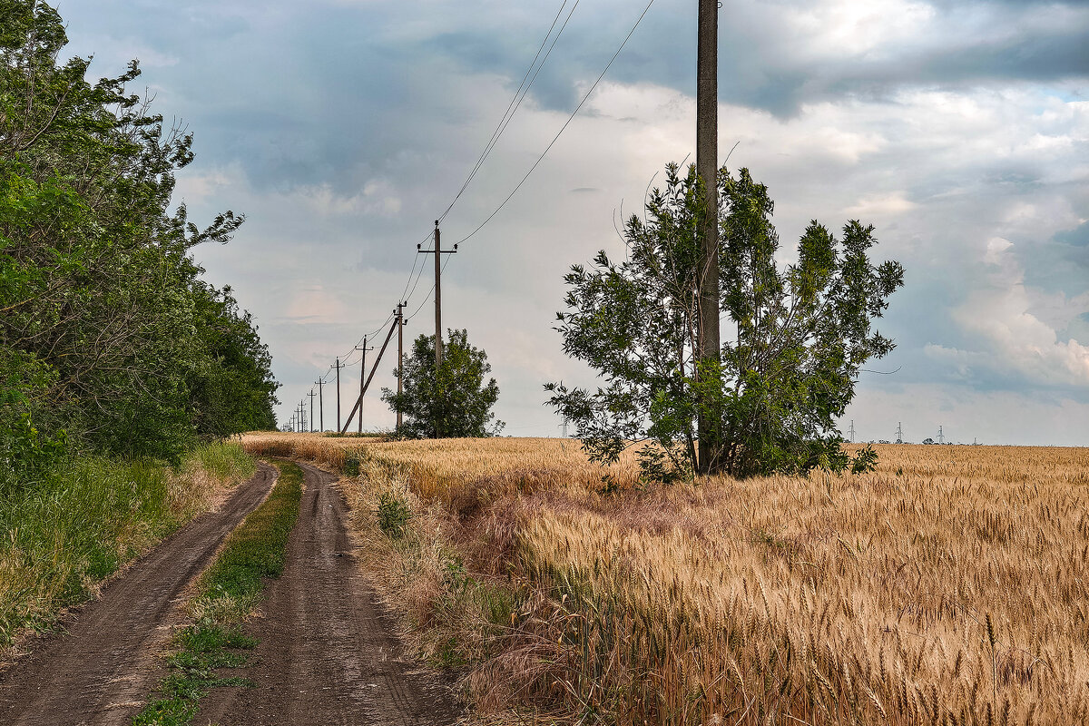 Перед дождём - Валерий Ткаченко