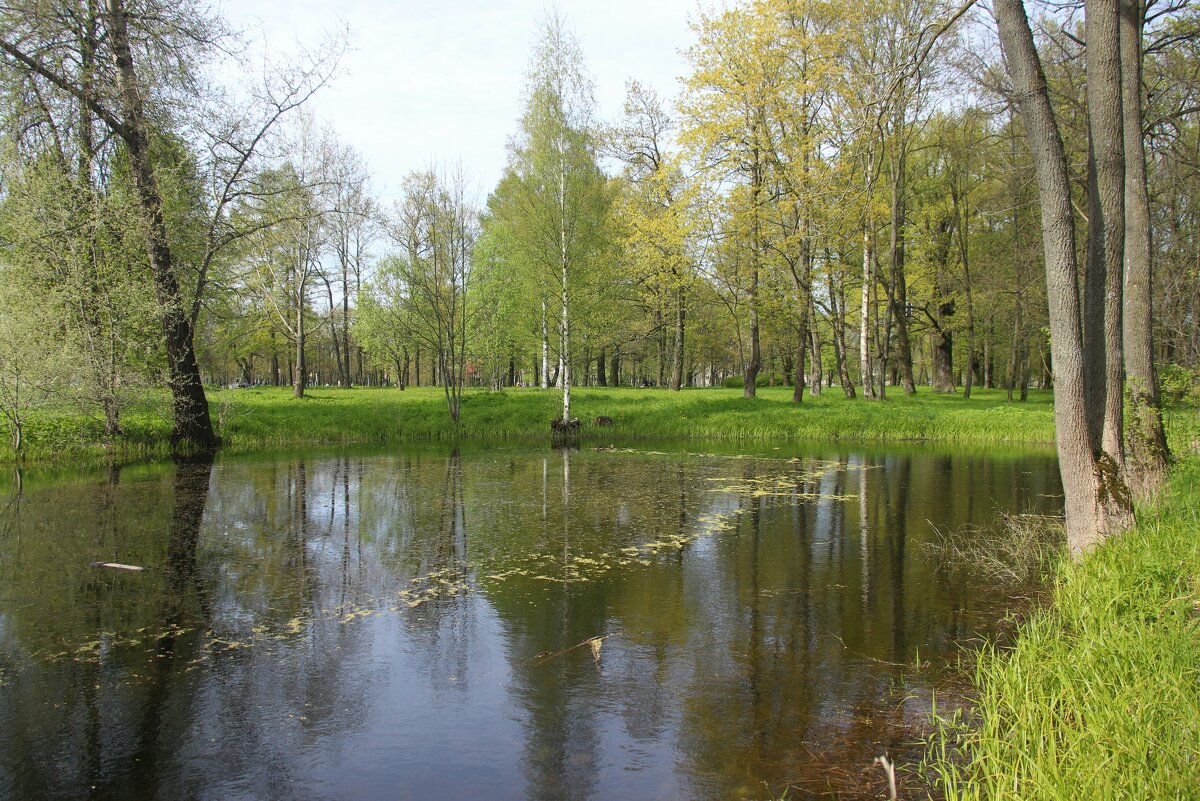 Стрельна. Орловский парк - Наталья Герасимова Стрельна. Орловский парк - Наталья Герасимова