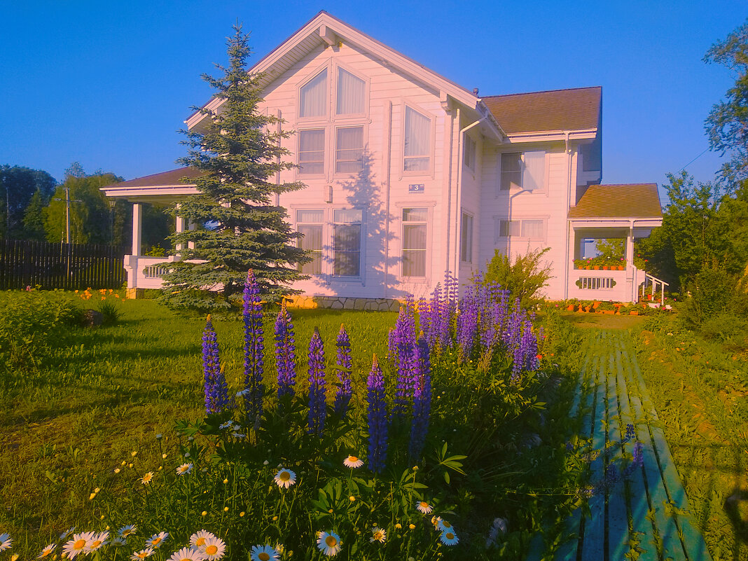 Белая усадьба - Сергей Кочнев