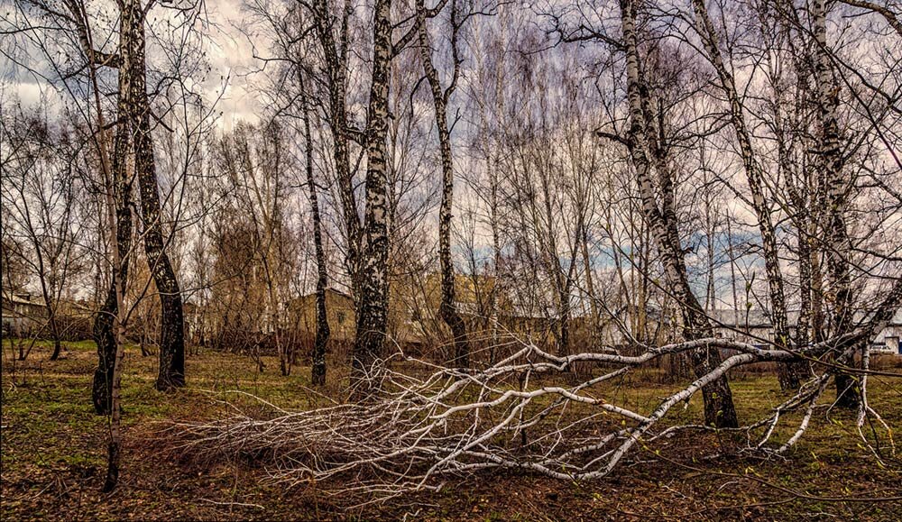 Панорама - SanSan 