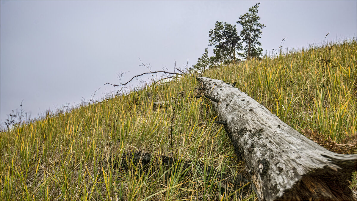 Осень - **** vedin