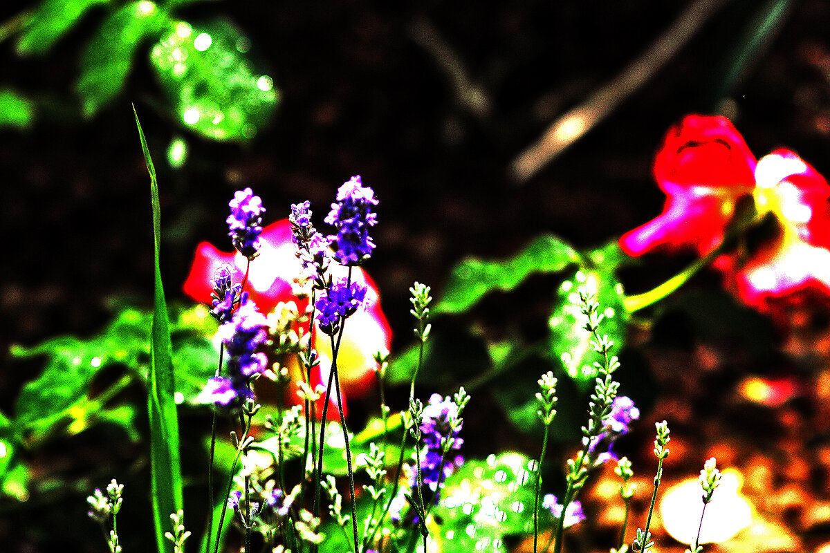 Цветочная композиция - Юрий Гайворонскiий