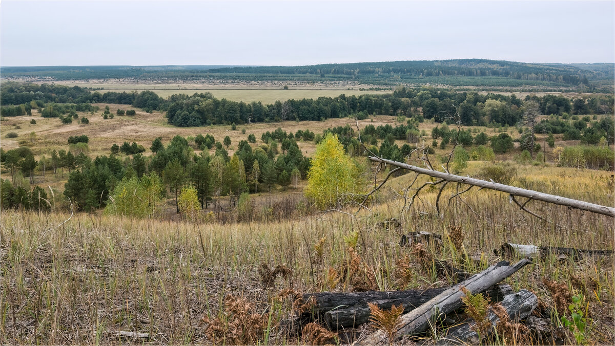 Осень - **** vedin