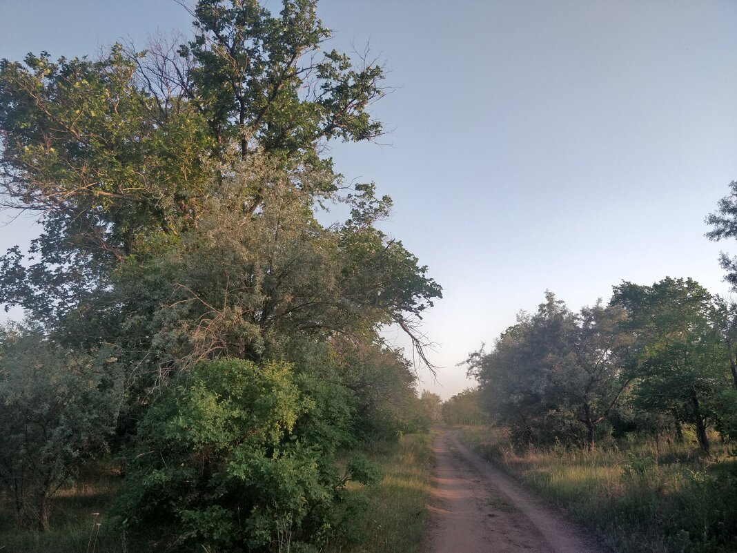 Эх дороги... - Андрей Хлопонин