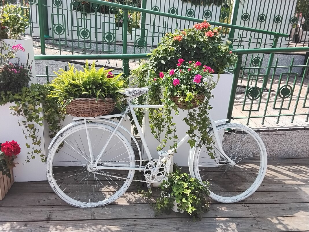 Лето на Тверской - Дмитрий Никитин