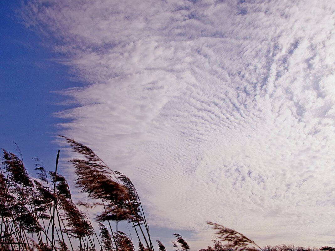 Перистые облака - Сергей Швечков