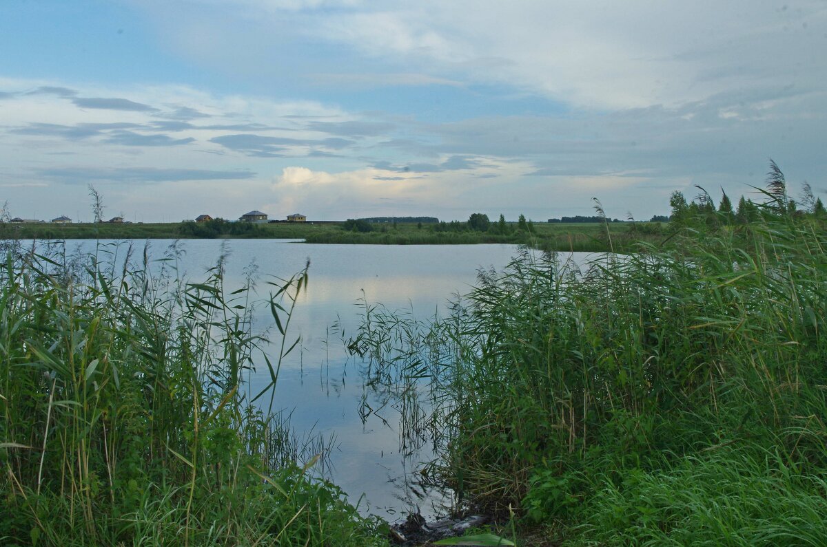 Рыбное место - Сергей Швечков