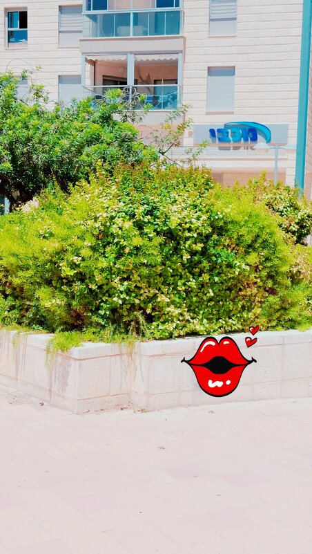 13  ОПЕН (146) - OPEN WAYS ALL