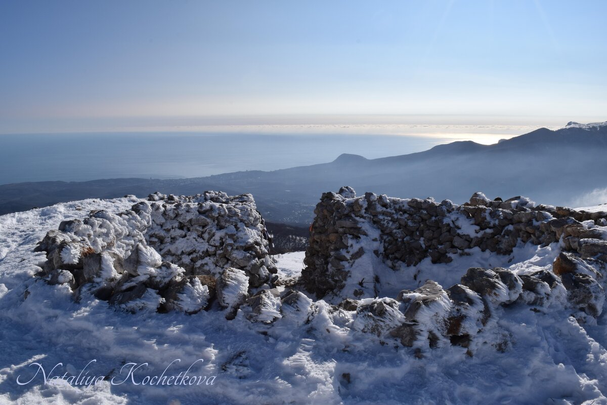 Природа Крыма - Amazing Cosmea Природа Крыма - Amazing Cosmea