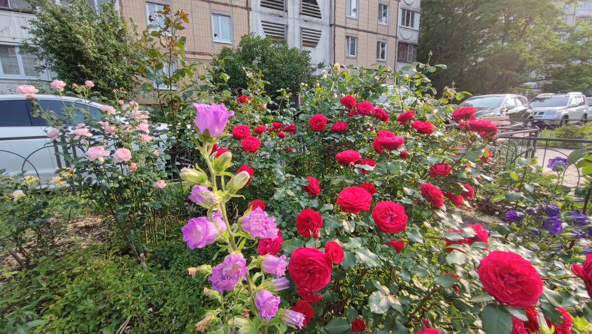 ,,, - Сергей Тимоновский