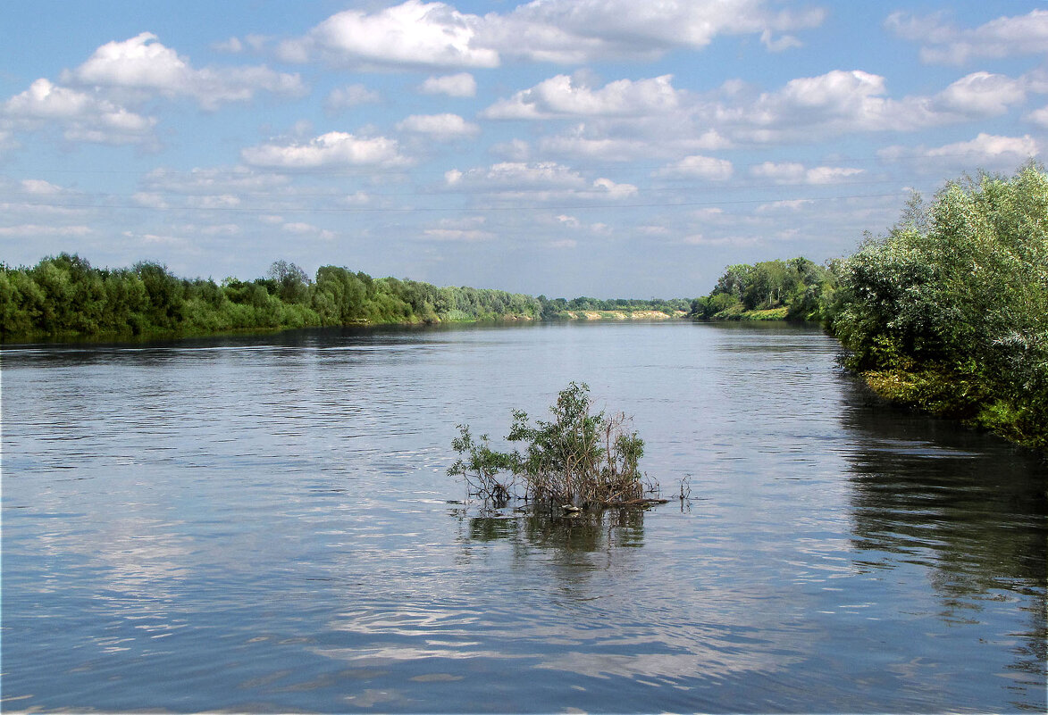 Река Клязьма - Александр Ильчевский 