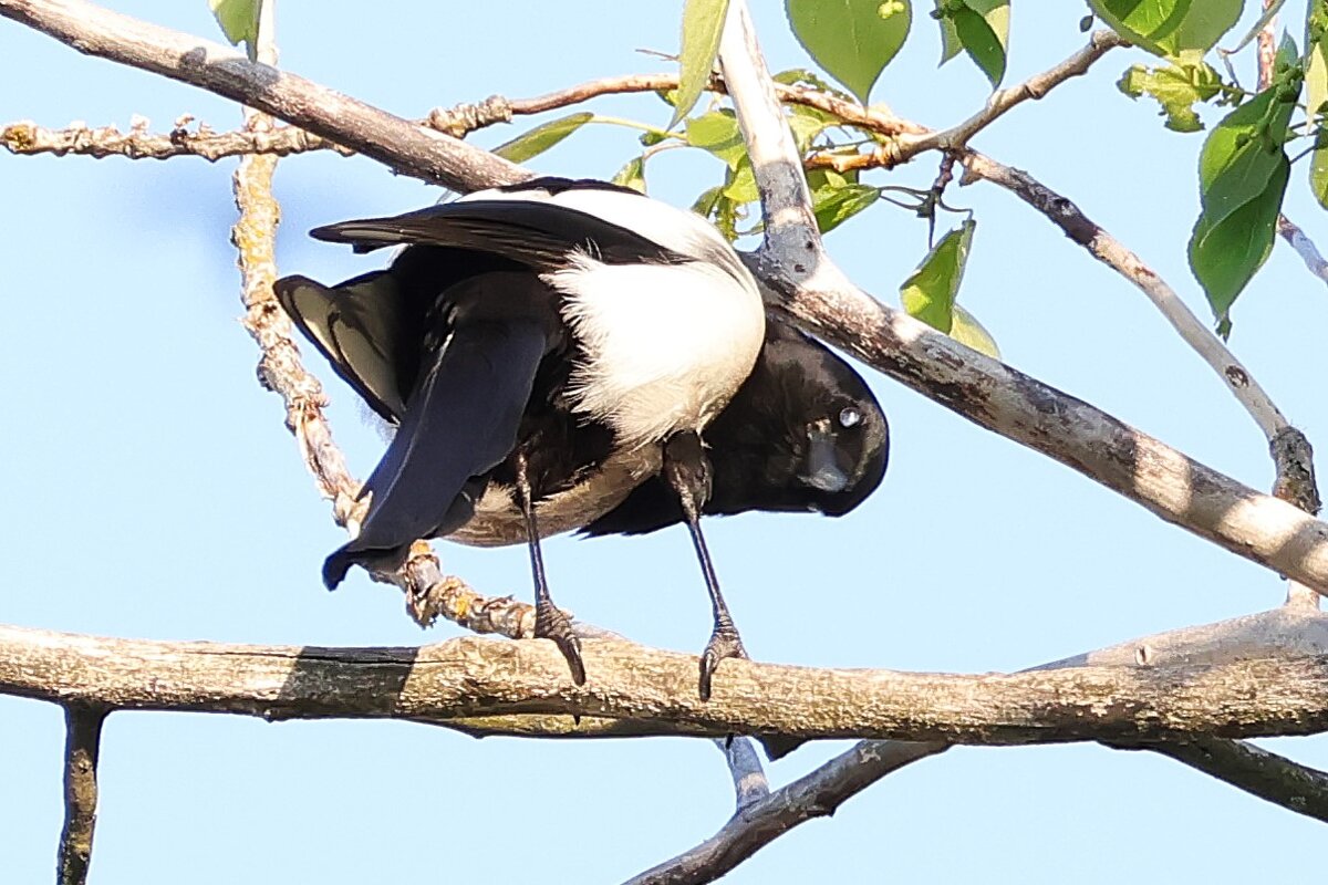 Я оглянулся посмотреть.... - Павел Fotoflash911 Никулочкин