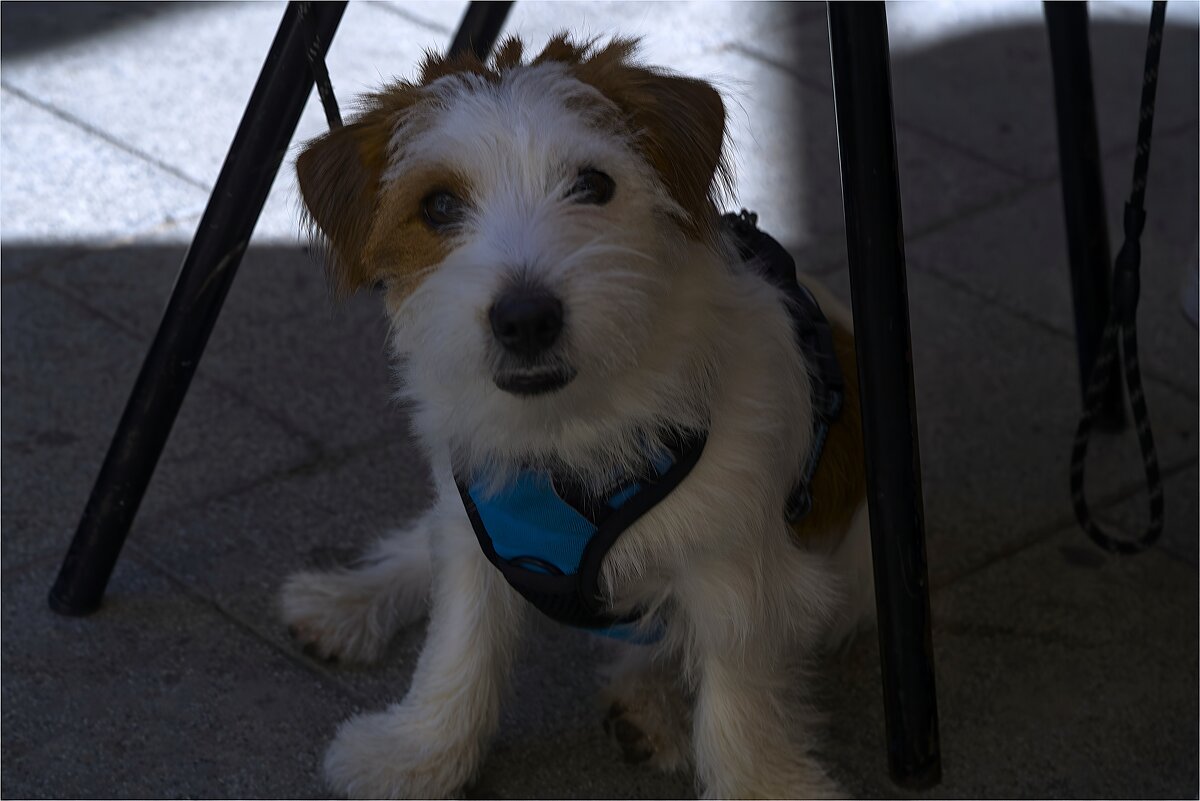 И все таки она красиво позирует  - ujgcvbif 