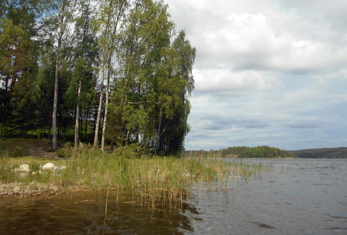 Ладога - Vyacheslav Gordeev
