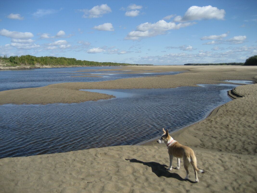 Лето - Anna Ivanova