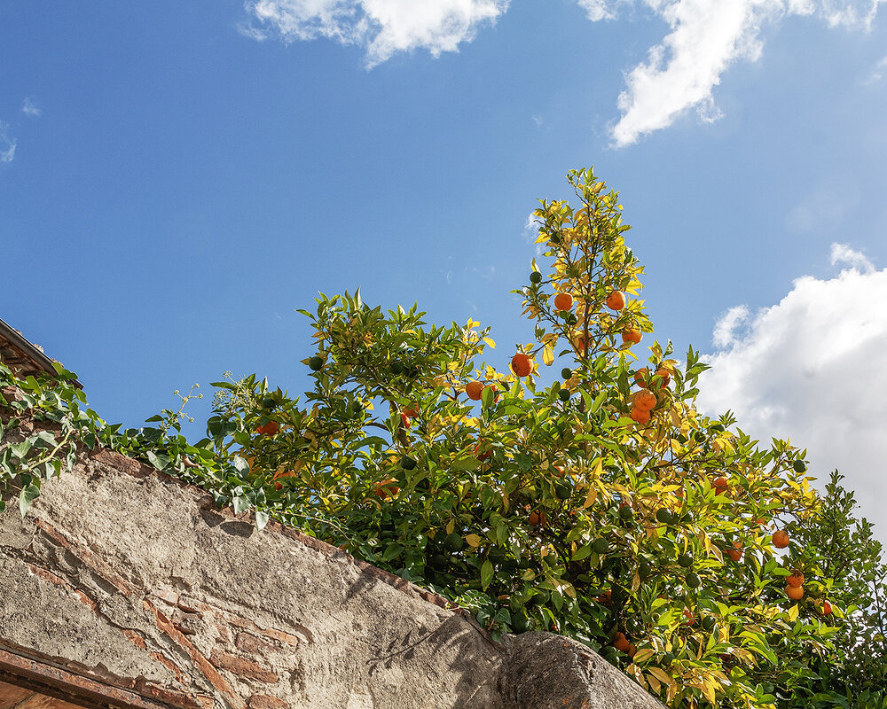 Пиза - Дмитрий 