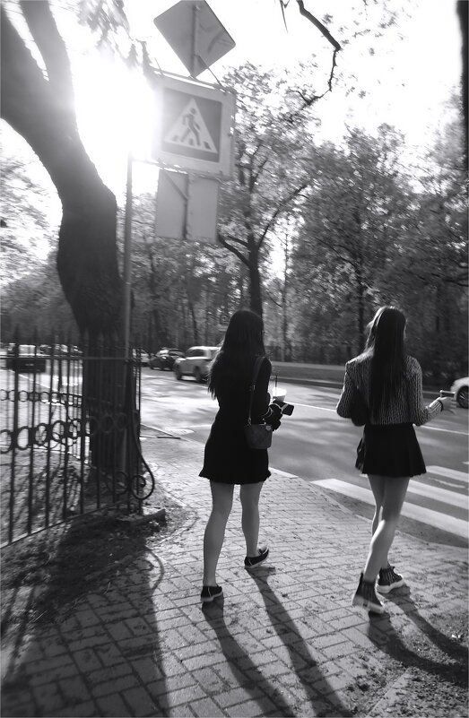 девочки-виденья - sv.kaschuk 