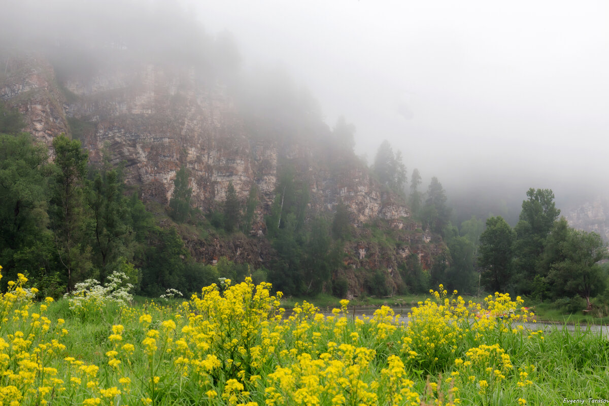 Лето... внезапно - Евгений Тарасов Лето... внезапно - Евгений Тарасов