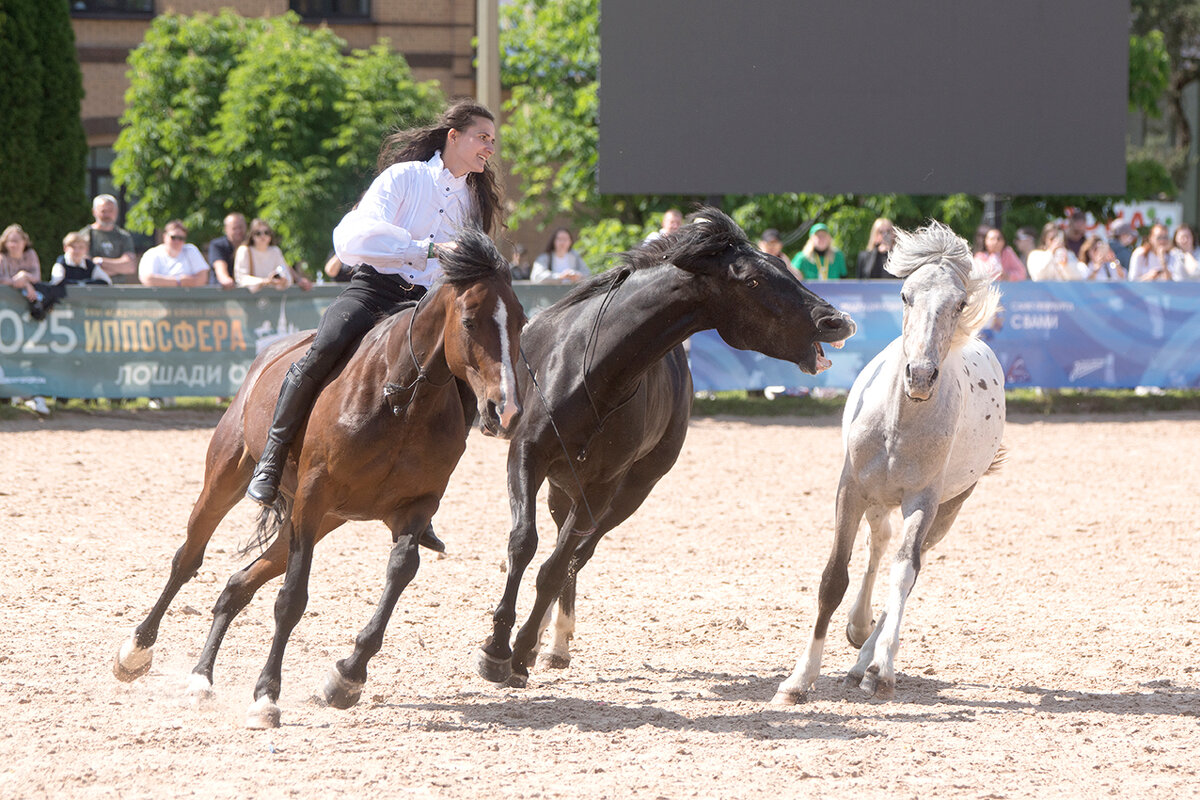 *** - Алексей Смирнов *** - Алексей Смирнов