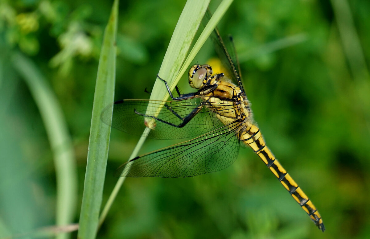 из снятого сегодня 2 - Александр Прокудин