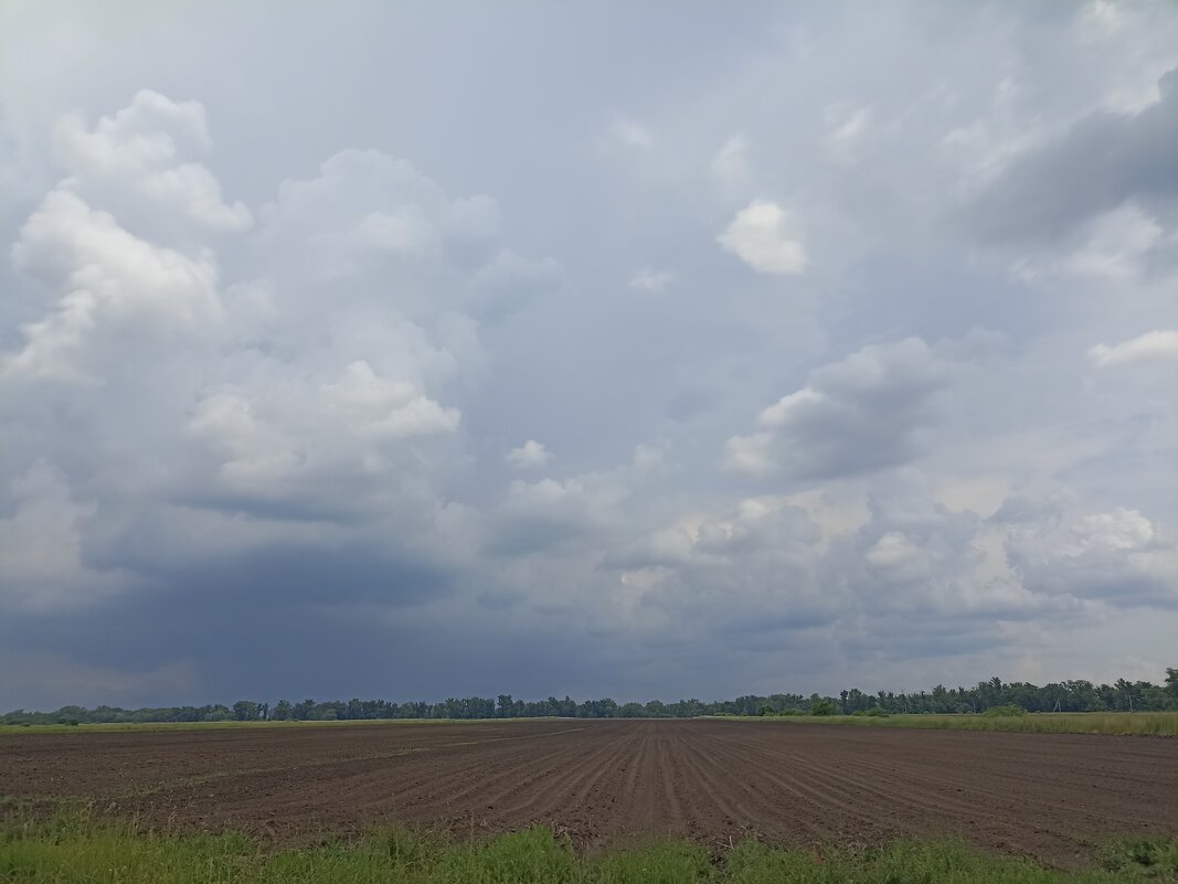 Перед грозой. - Pippa Перед грозой. - Pippa