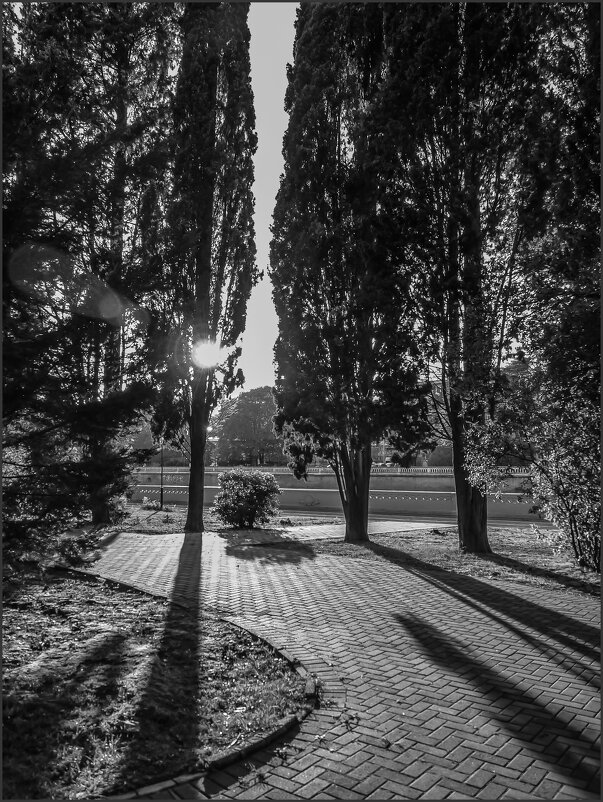 Летний вечер - Наталья Rosenwasser