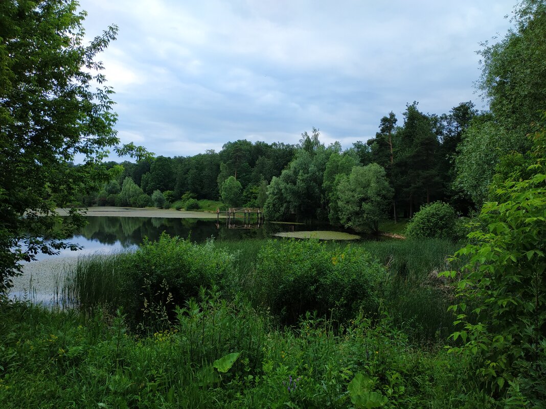 * * * - Андрей Лукьянов * * * - Андрей Лукьянов