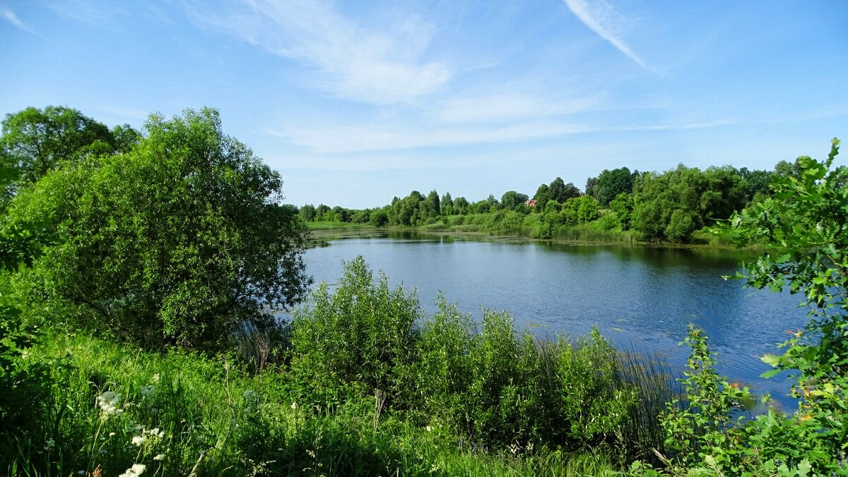 Летний пейзаж. - Милешкин Владимир Алексеевич 