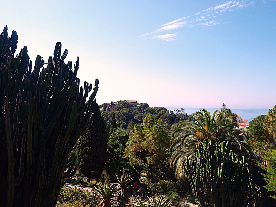 Барселона. - Владимир Драгунский