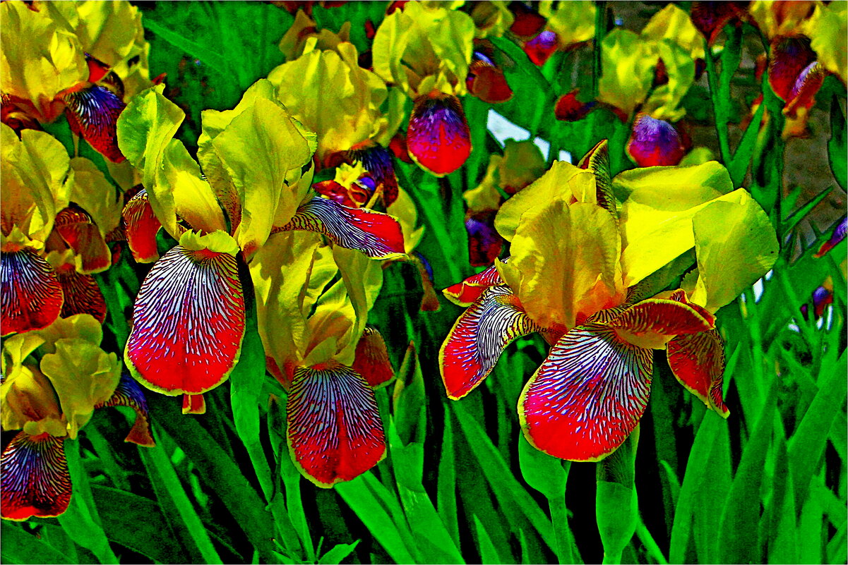 ЛЕТО - Юрий Владимирович 34