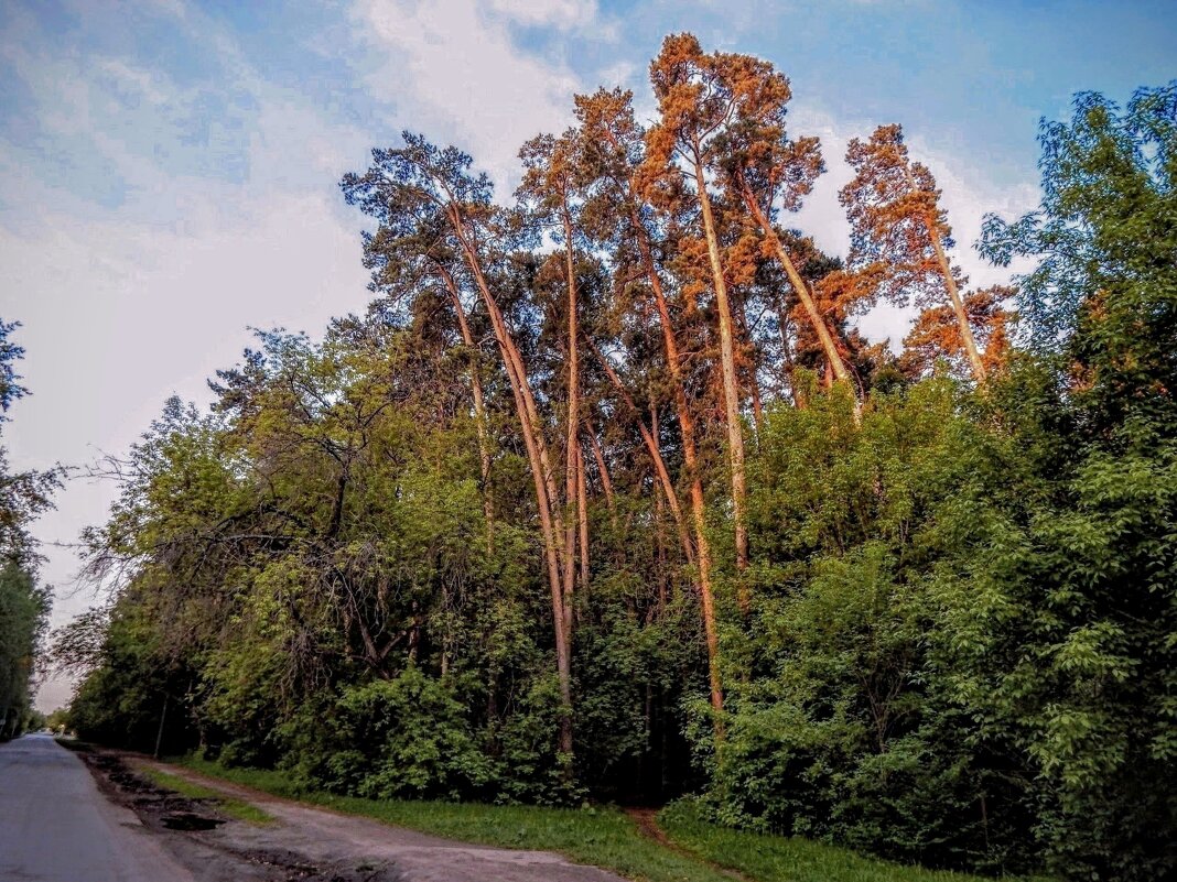 С Богом по любым дорогам! - Елена Хайдукова  ( Elena Fly )