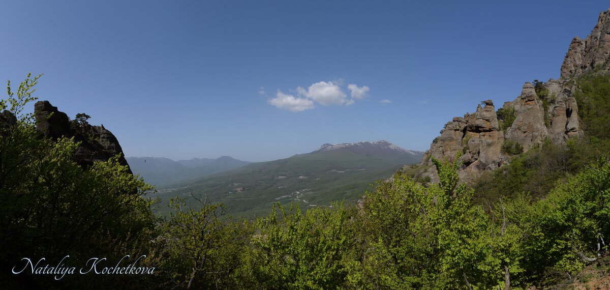 Природа Крыма - Amazing Cosmea