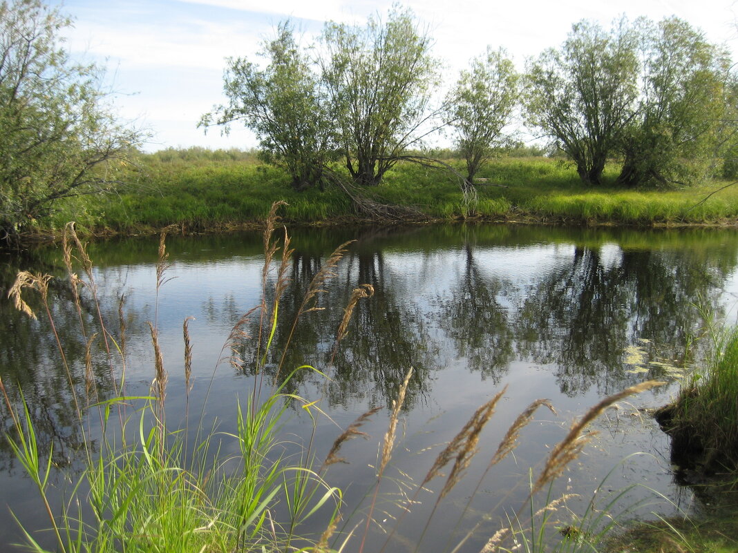 Лето - Anna Ivanova Лето - Anna Ivanova