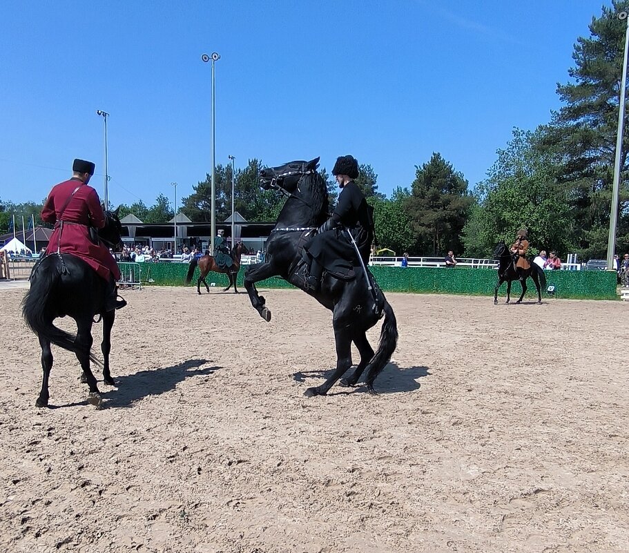 Иппосфера - 2025. - Ольга Иппосфера - 2025. - Ольга