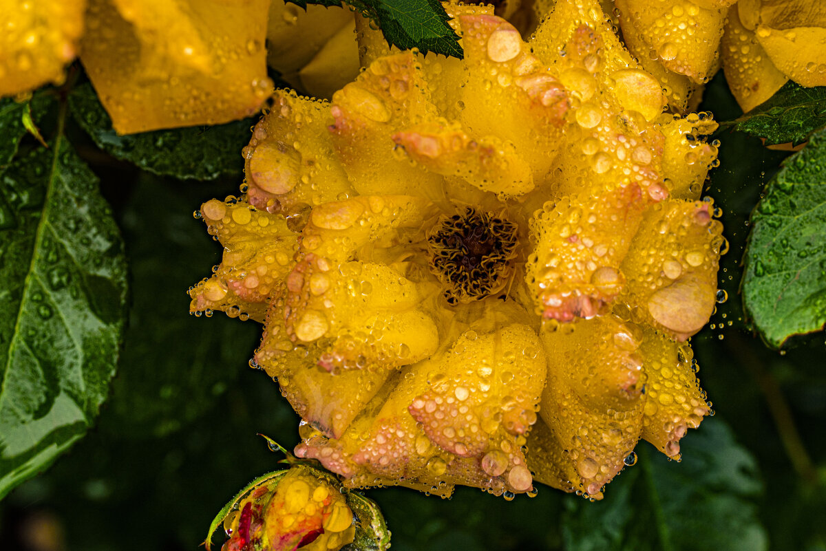 Вам,друзья! - Осень Вам,друзья! - Осень