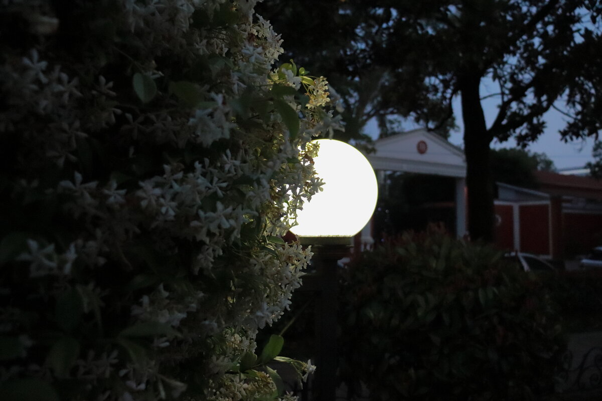 Электролуна. - Александр Николаев