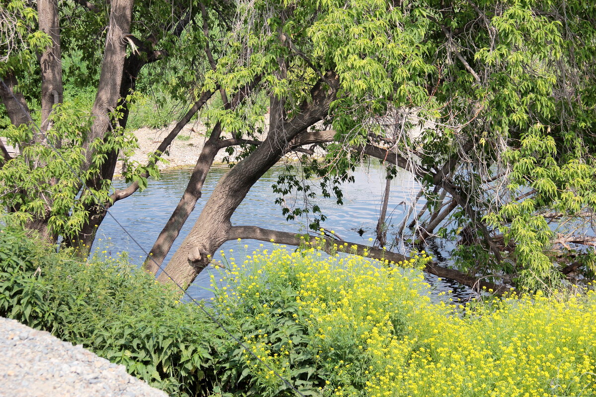 Тишина - victor Lion