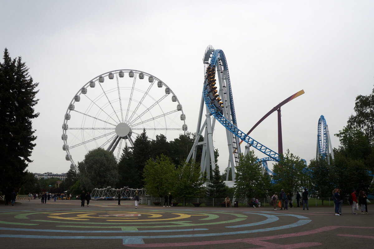 Диво остров - zavitok *