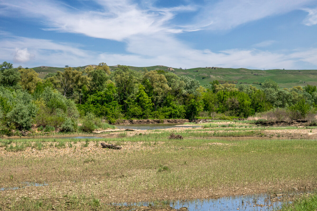 Окрестности - Игорь Сикорский
