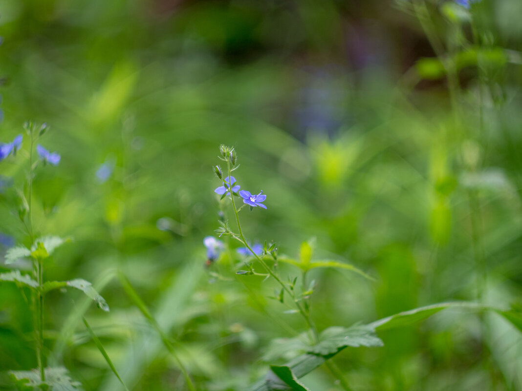 ___ - Yuriy V ___ - Yuriy V