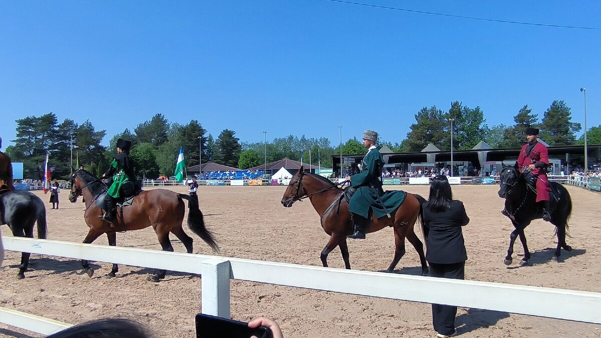 Иппосфера - 2025. - Ольга 